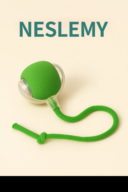 NESLEMY™ –A fun companion for pets