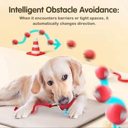 NESLEMY™ –A fun companion for pets