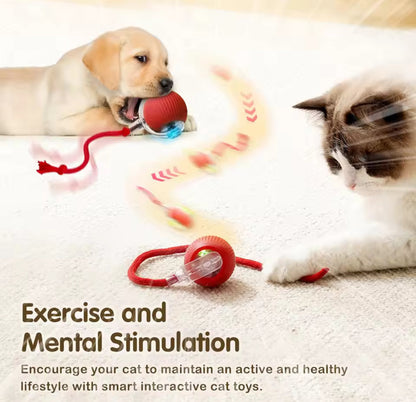 NESLEMY™ –A fun companion for pets